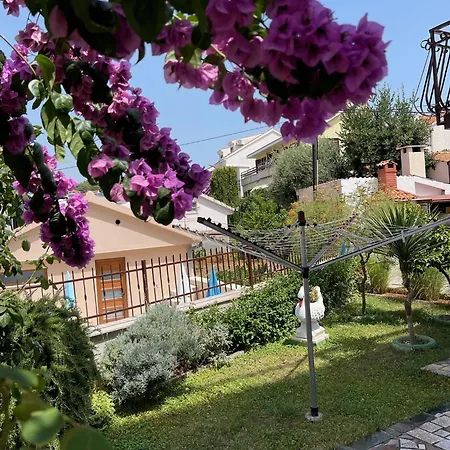 Petra * تروغير